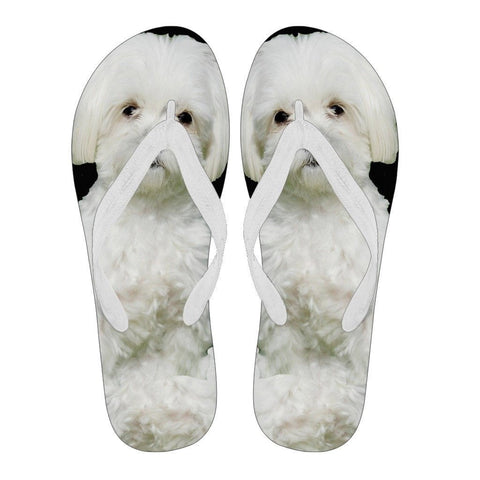 Maltese Flip Flops For Men Limited Edition