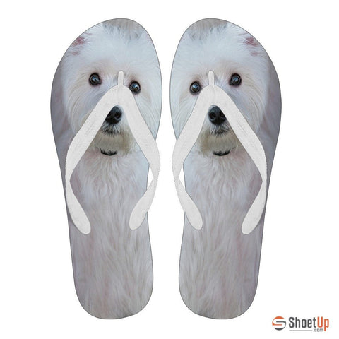 Westie Flip Flops For Men