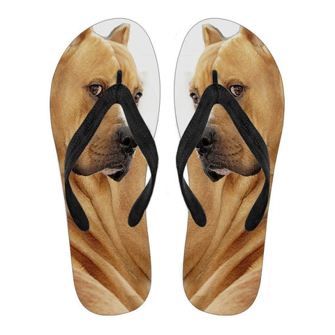 Pitbull Flip Flops For Men Limited Edition