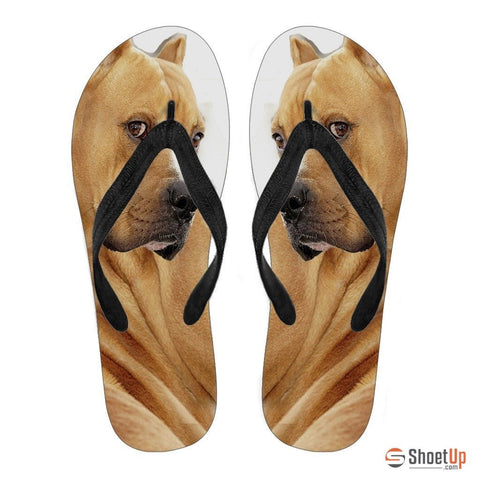 Pitbull Flip Flops For Women