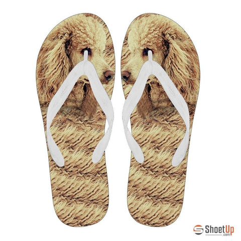 Poodle Flip Flops For Men Limited Edition