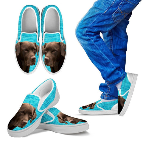 Labrador Retriever (Chocolate) PrintSlip Ons For KidsExpress Shipping