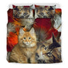 Cute Maine Coon Print Bedding Set