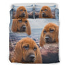 Redbone Coonhound Dog Print Bedding Set