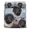 Cute Newfoundland Dog Print Bedding Set