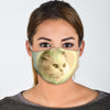 Cute Persian Cat Print Face Mask