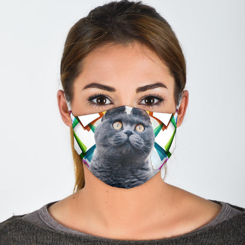 Lovely British Shorthair Print Face Mask