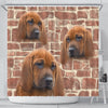 Redbone Coonhound Print Shower Curtains