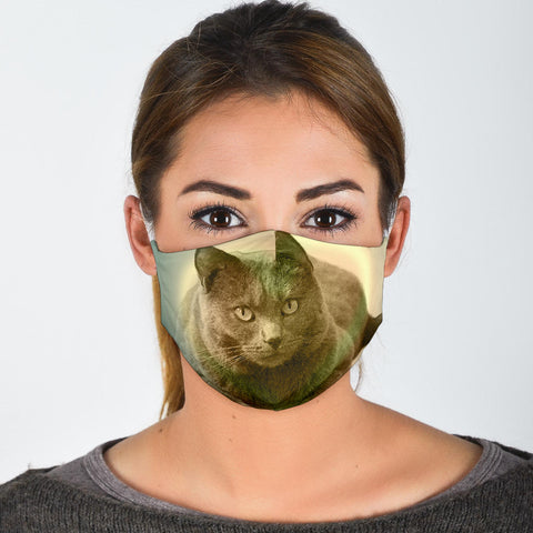 Chartreux Cat Print Face Mask