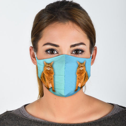 Cute Somali Cat Print Face Mask