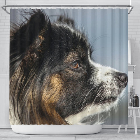 Papillon Dog Side View Print Shower Curtains