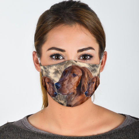 Lovely Irish Setter Print Face Mask