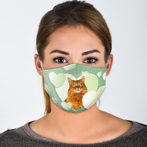 Somali Cat Print Face Mask