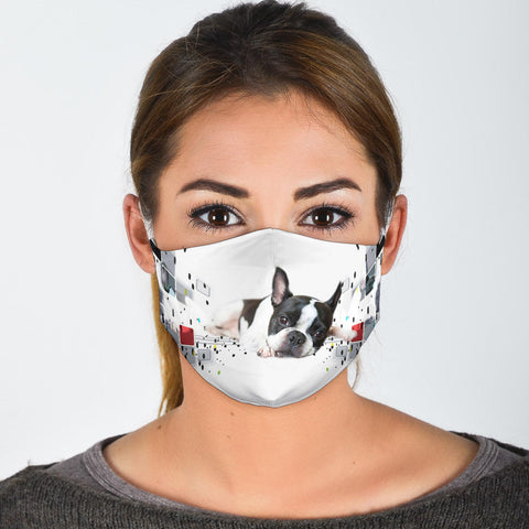 Cute Boston Terrier Print Face Mask