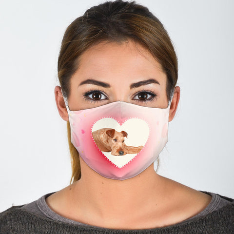 Irish Terrier Print Face Mask