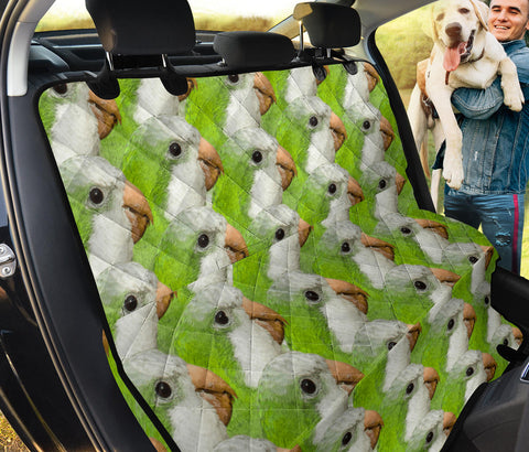 Quaker Parrot Patterns Print Pet Seat Covers