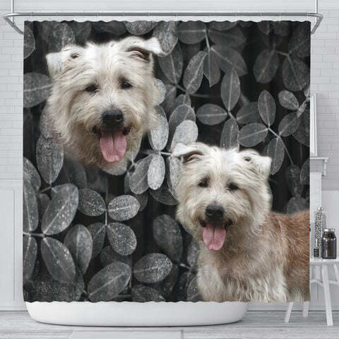 Glen Of Imaal Terrier Print Shower Curtains