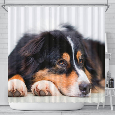 Australian Shepherd Dog Print Shower Curtains