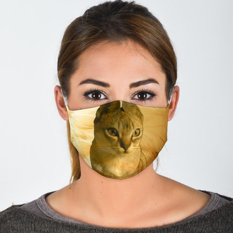 Singapura Cat Print Face Mask- Limited Edition