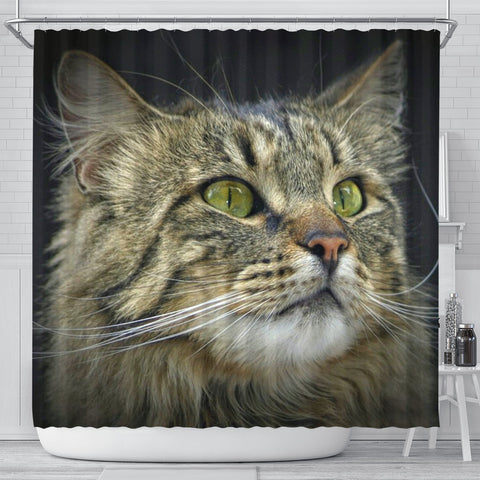 Amazing Norwegian Forest Cat Print Shower Curtains