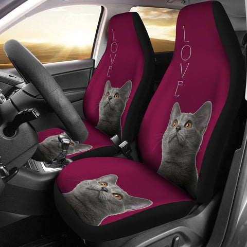 Chartreux Cat Print Car Seat Covers