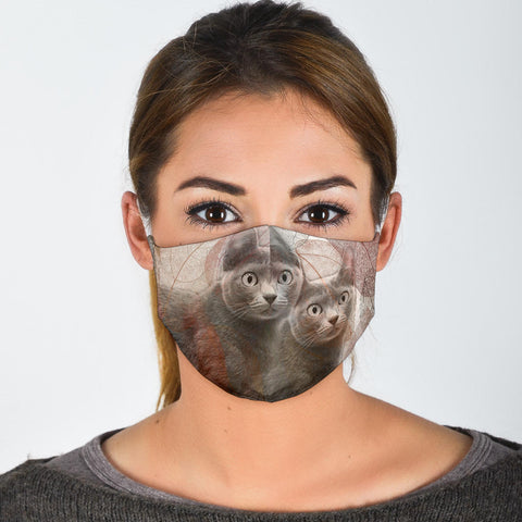 Korat Cat Print Face Mask