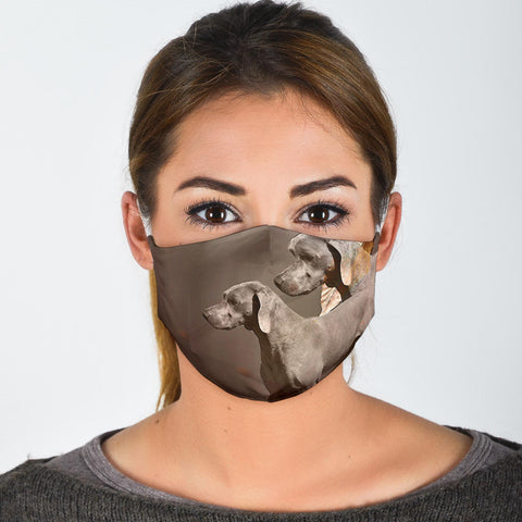 Chesapeake Bay Retriever Print Face Mask