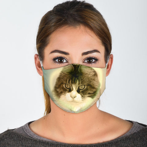 Cute Maine Coon Cat Print Face Mask