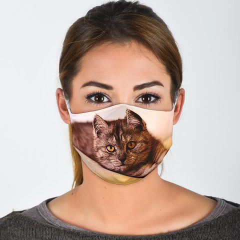 Amazing Exotic Shorthair Print Face Mask