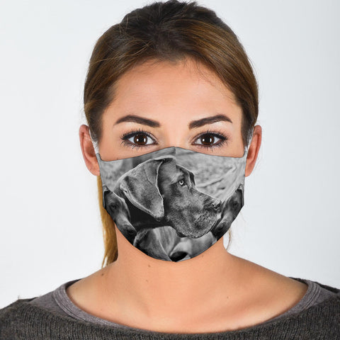 Great Dane Print Face Mask
