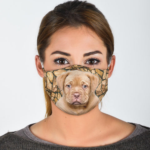 Dogue De Bordeaux Print Face Mask