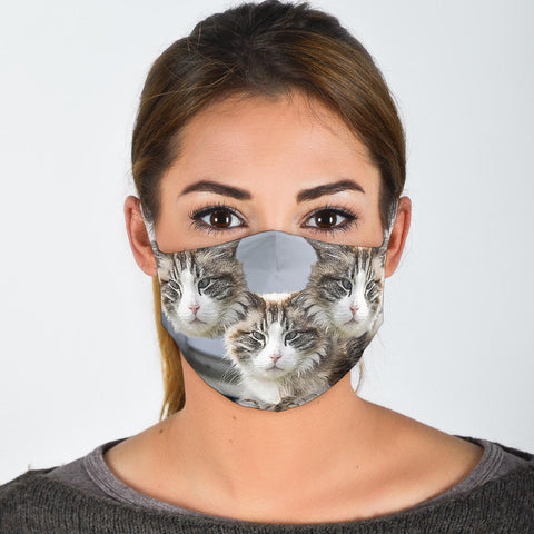 Ragamuffin Cat Print Face Mask