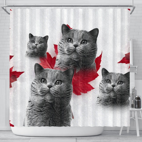 Lovely British Shorthair Cat Print Shower Curtains