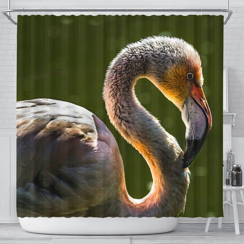 Beautiful Swan Bird Print Shower Curtains