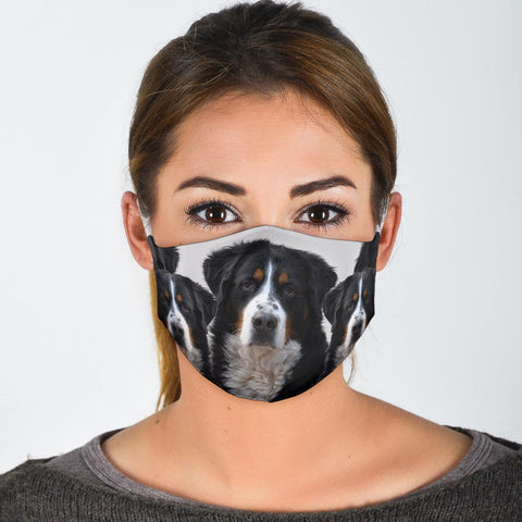 Greater Swiss Mountain Dog Print Face Mask- Limited Edition