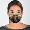 Irish Setter Print Face Mask