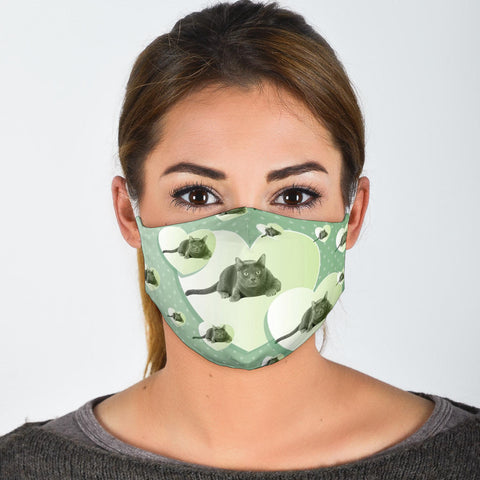 Cute Korat Cats Print Face Mask