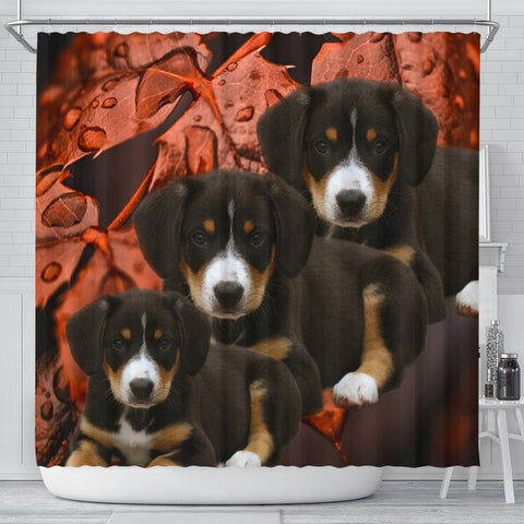 Entlebucher Mountain Dog Print Shower Curtains