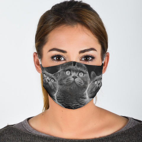 Amazing British Shorthair Print Face Mask