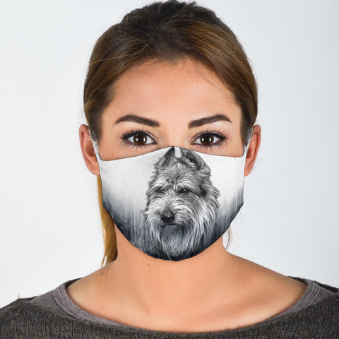 Berger Picard Print Face Mask- Limited Edition