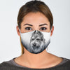 Berger Picard Print Face Mask- Limited Edition