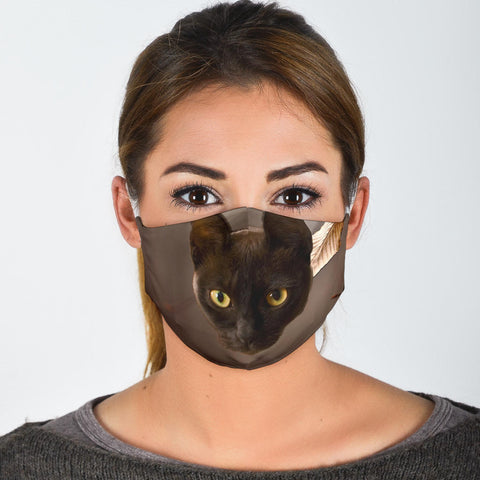 Burmese Cat Print Face Mask