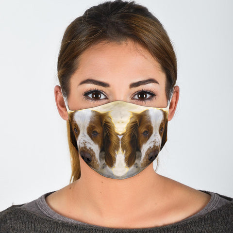 Lovely Welsh Springer Spaniel Print Face Mask