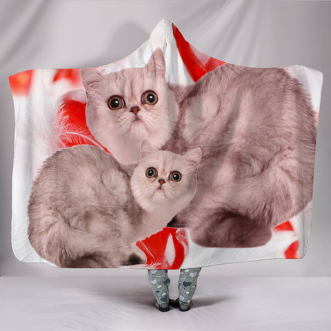 Exotic Shorthair Cat Print Hooded Blanket