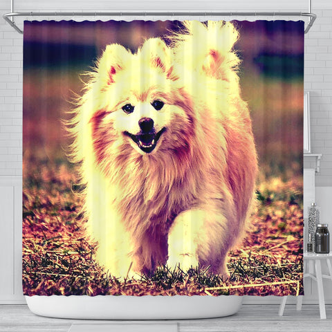 Cute Pomeranian Dog Art Print Shower Curtains