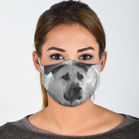 Chinook Dog Print Face Mask