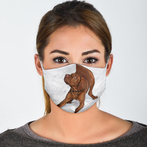 Lovely Vizsla Print Face Mask