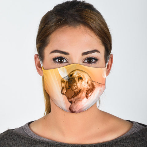 Lovely Clumber Spaniel Print Face Mask