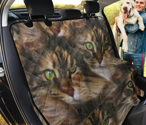 Maine Coon Cat Print Pet Seat Covers