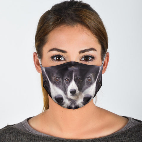 Border Collie Print Face Mask